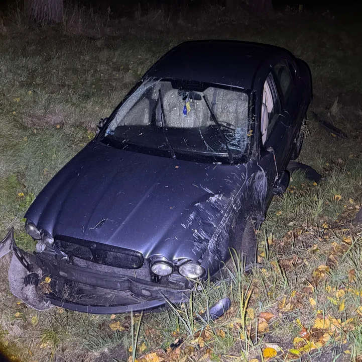 Podzamek - Jaguar w rowie - Zdjęcie główne