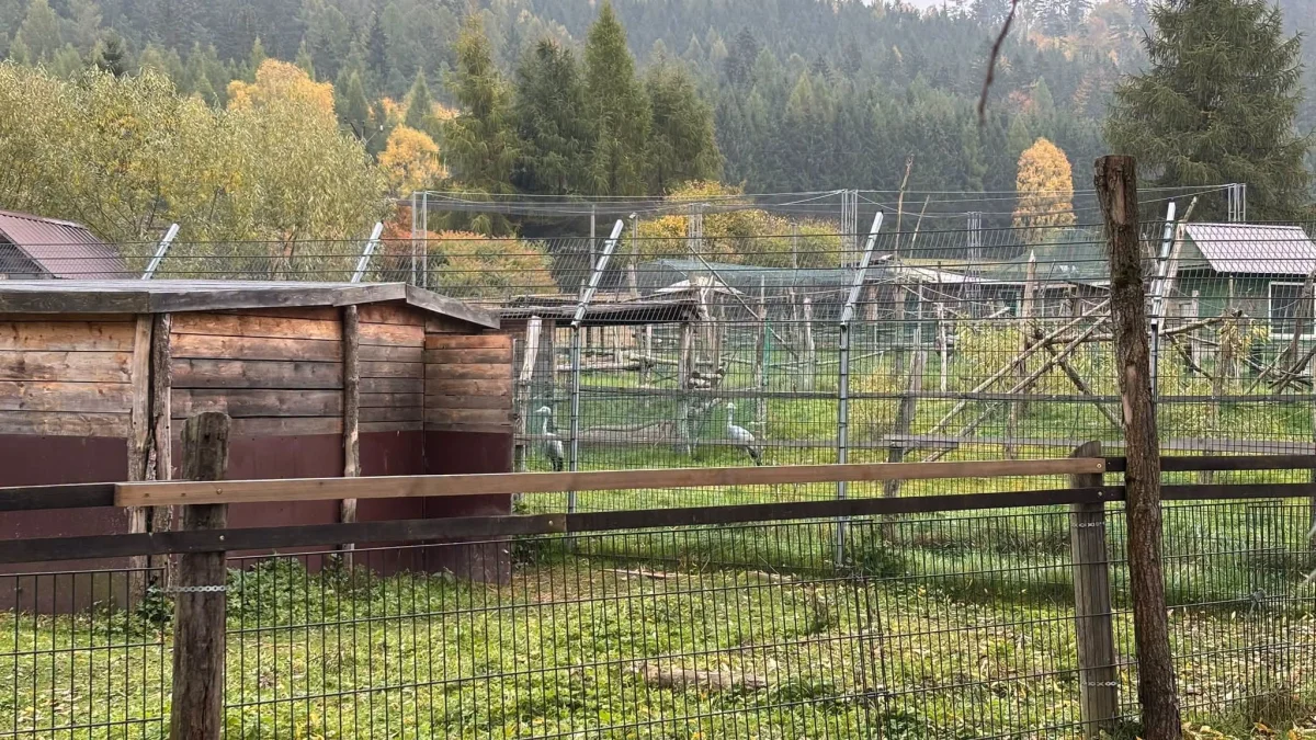 ZOO Łączna. Prokuratura zmienia plany, radni chcą otwarcia, a sprawą zajęła się Kancelaria Prezydenta RP