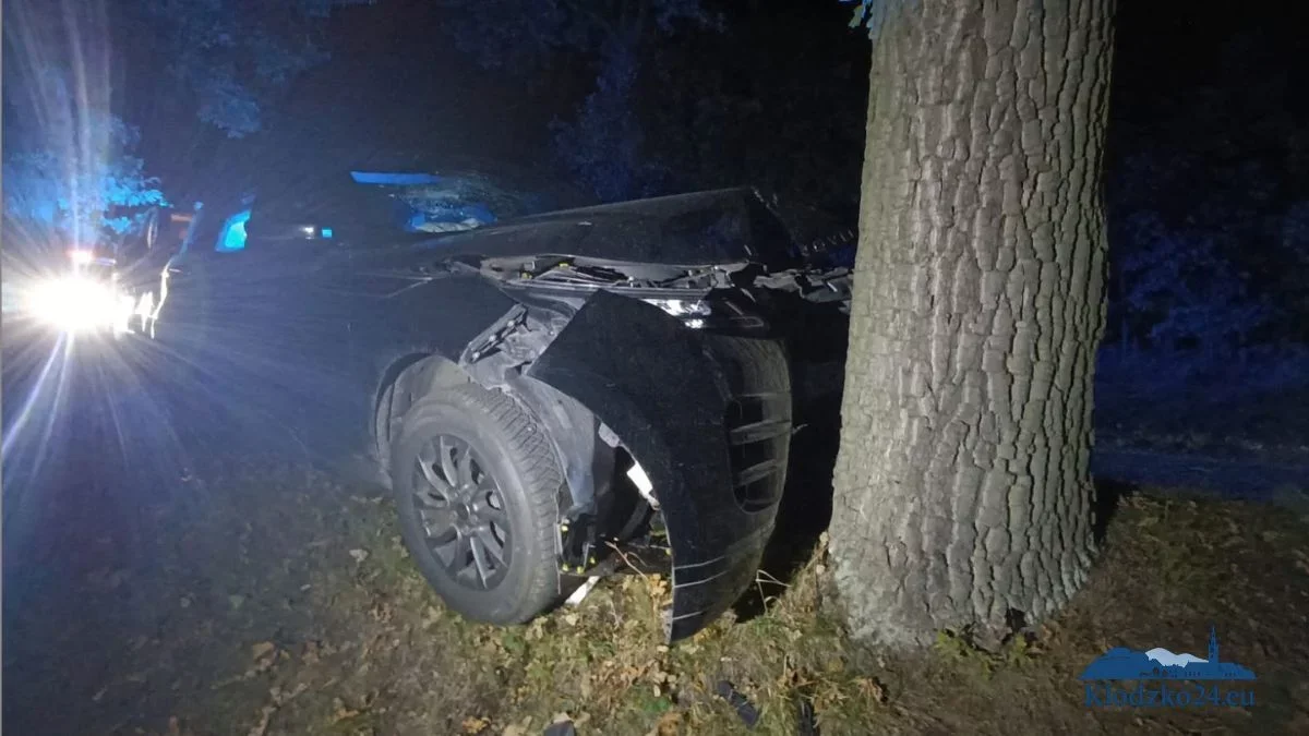 Land Rover uderzył w drzewo w Wojborzu