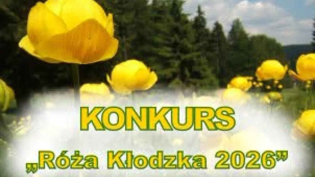 Róża Kłodzka 2026 – starostwo czeka na zgłoszenia