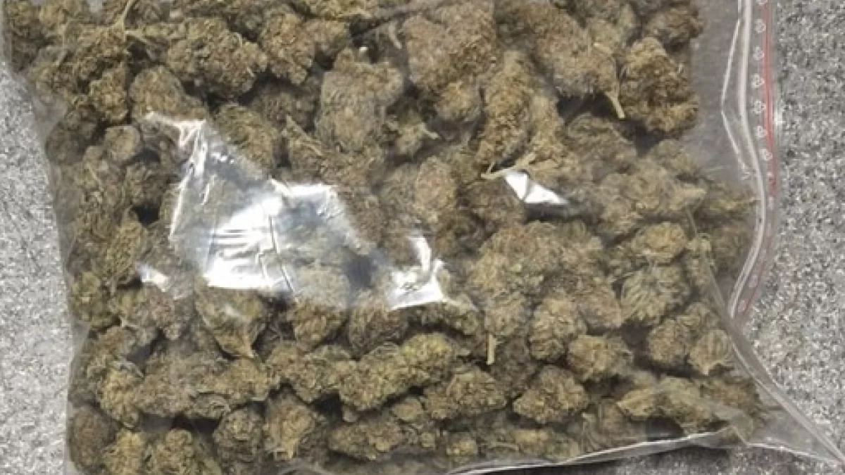 Nowa Ruda. Policjanci znaleźli pół kilo marihuany [zdjęcie]